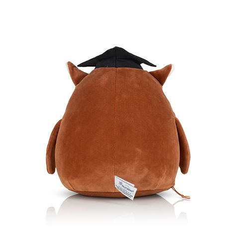 Graduation Personalised Squidgy Owl