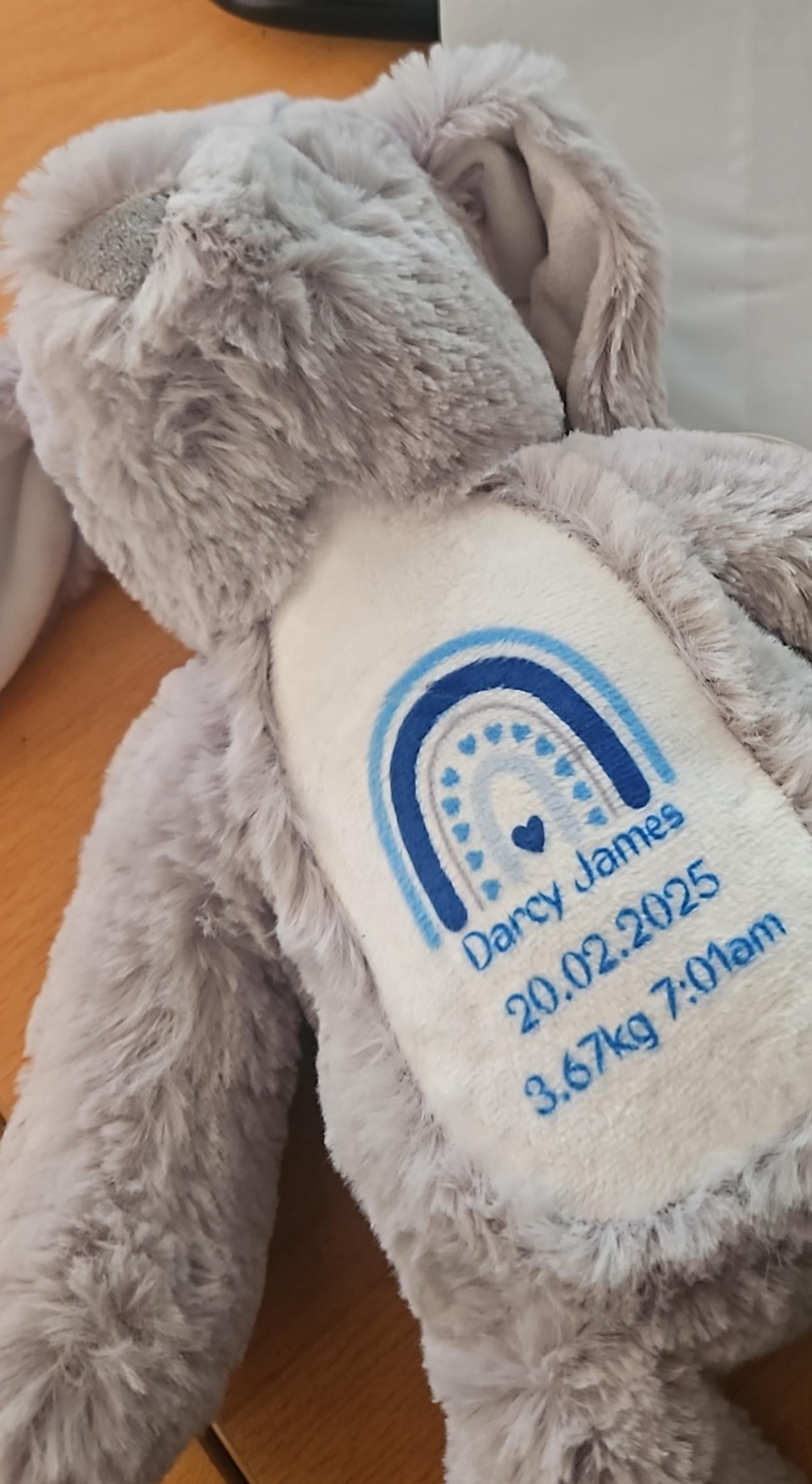 Blue Rainbow Birth Teddy