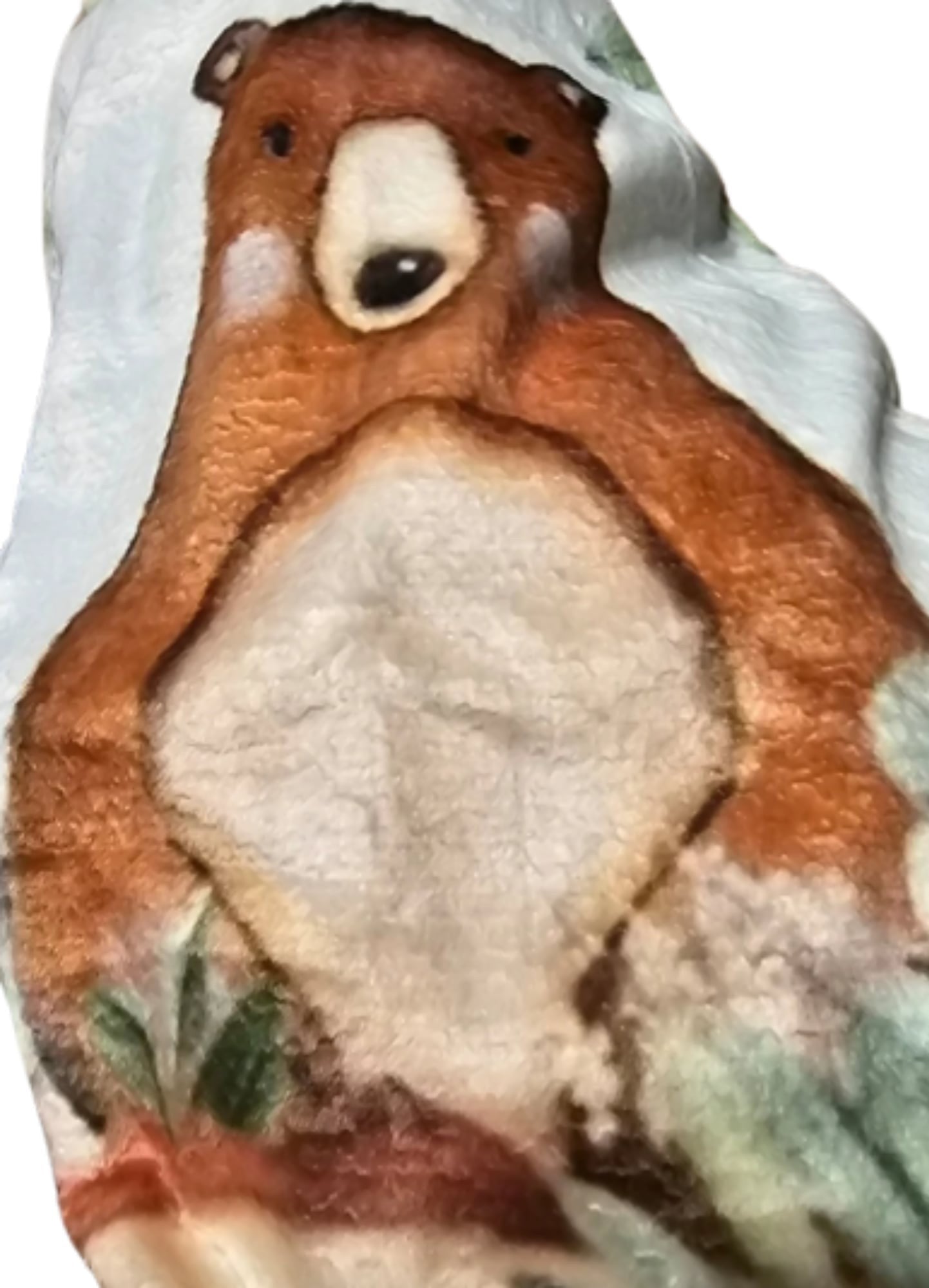 Personalised Baby blanket, Custom baby shower gift, Custom kids blanket, Name Printed Woodlands Blanket